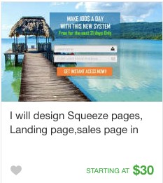 landing-page gig on fiverr