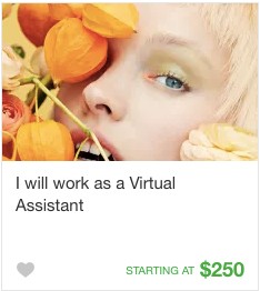 Virtual assistant Gig Service on Fiverr