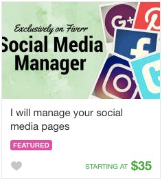 Social media Gig Service on Fiverr