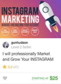 Instagram marketing gig services