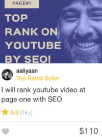 fiverr video seo gig