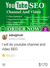 fiverr video seo gig