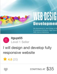 fiverr web developer gig