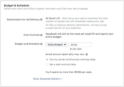 How to set a budget in Facebook Ads.