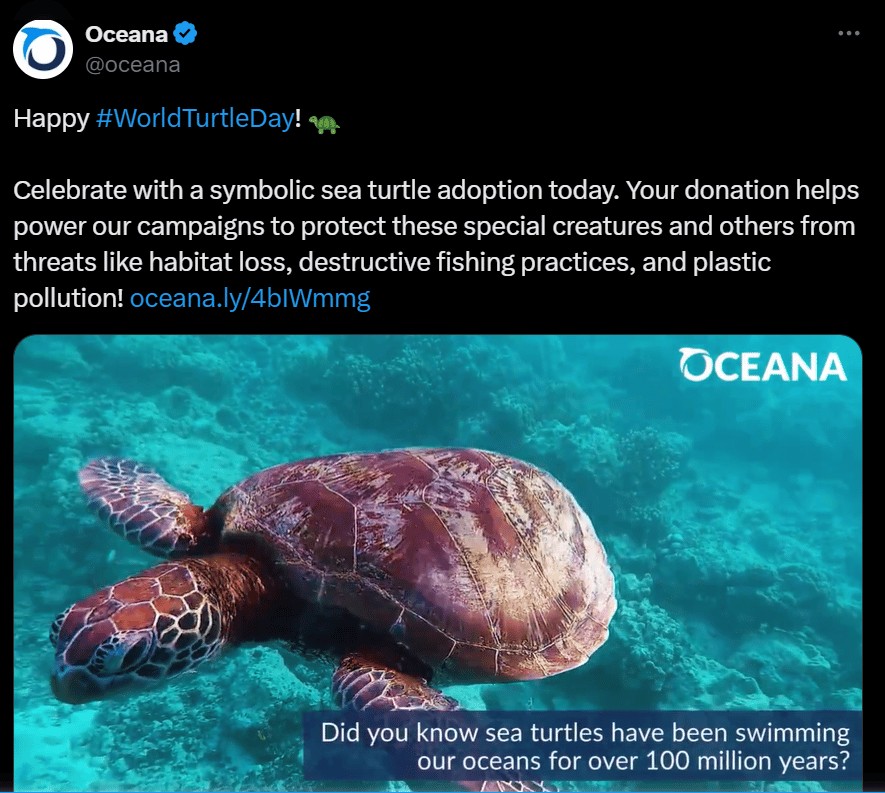 X Post Oceana NGO