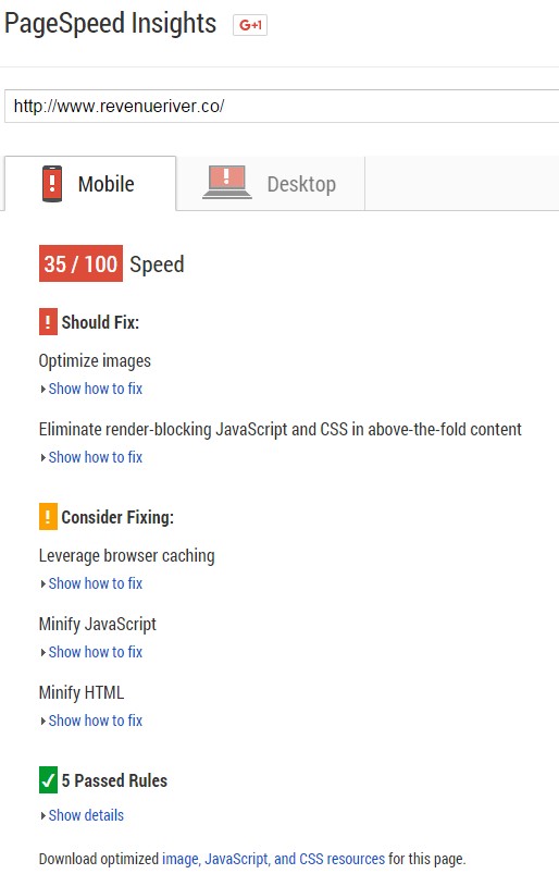 PageSpeed Insights from Google