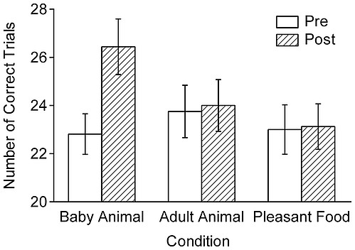 baby-animals-productivity.png