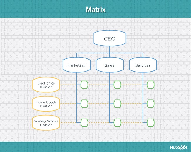 Teal diagram of matrix organizational structure
