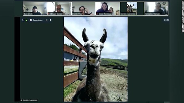 farm tour virtual conference call