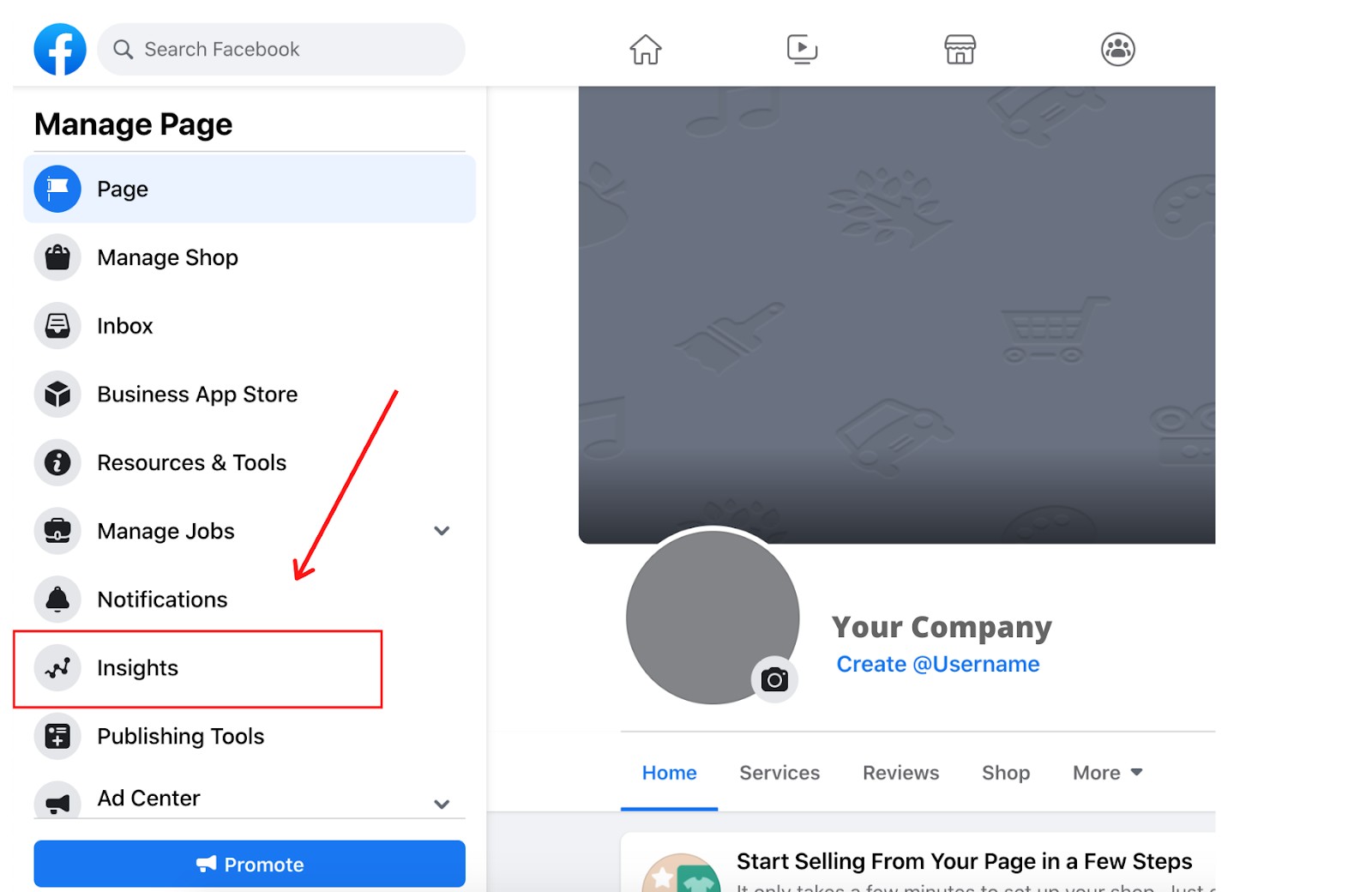 Facebook Business Page Insights Tool