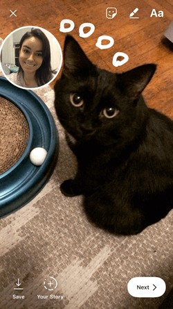 Instagram photo of a black cat with selfie sticker
