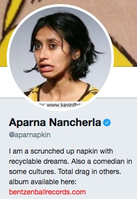 Funny twitter bio from @aparnapkin