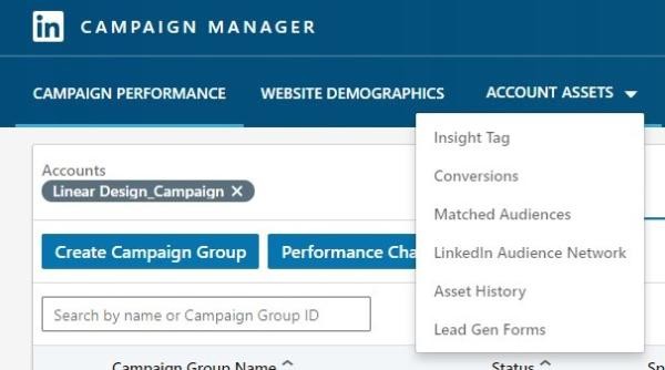 LinkedIn retargeting campaign manager