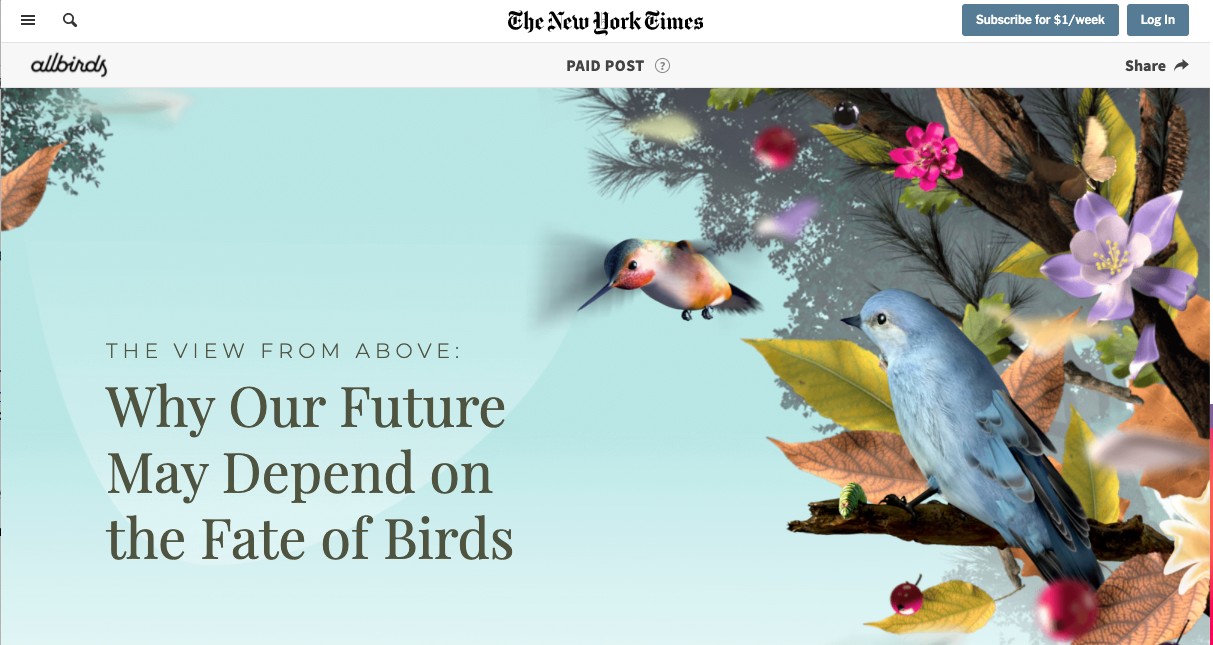 Native Advertising Example: Allbirds in the New York Times