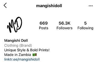 short instagram bio idea: mangishi example