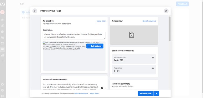 how to use facebook meta business manager: ad details
