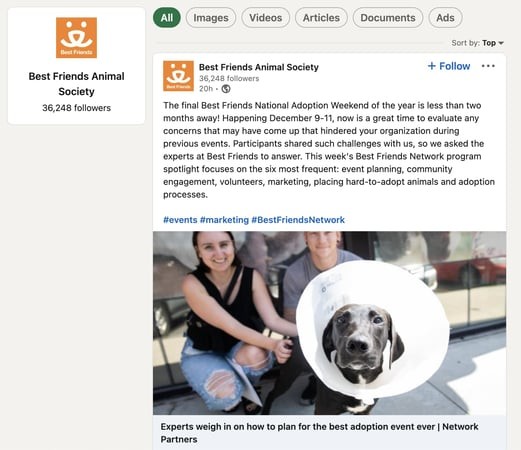 best nonprofile linkedin profiles: best friends animal society sharing the impact of its work