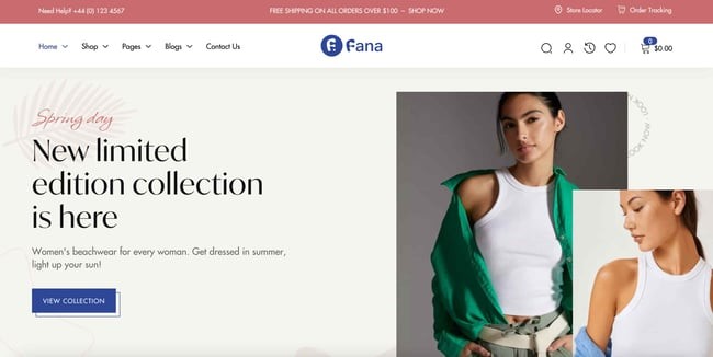 fana best wordpress themes home page example 