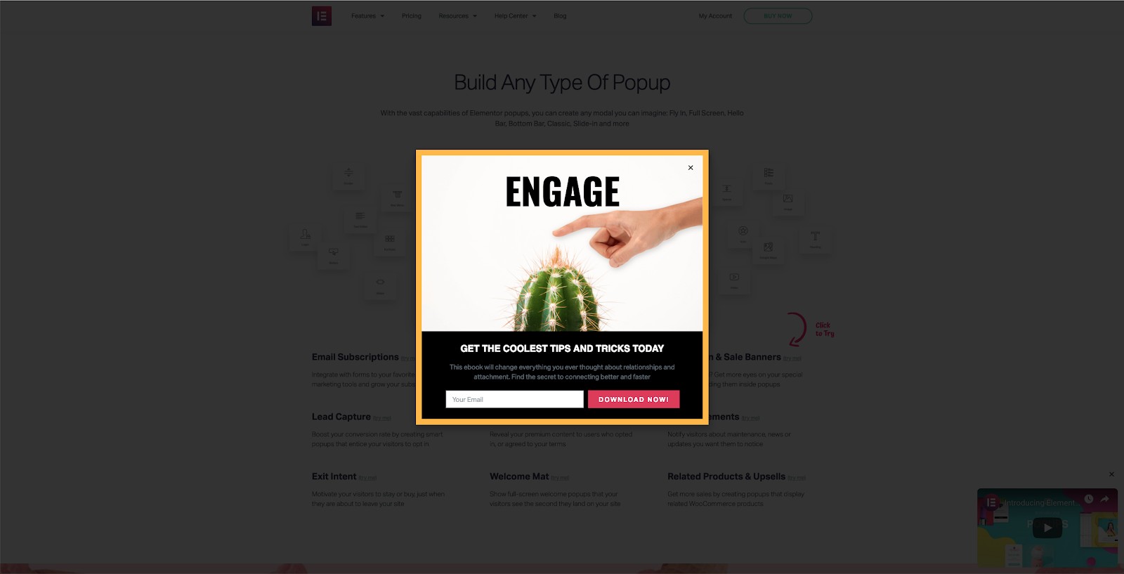 An example of a popup ad created using Elementor