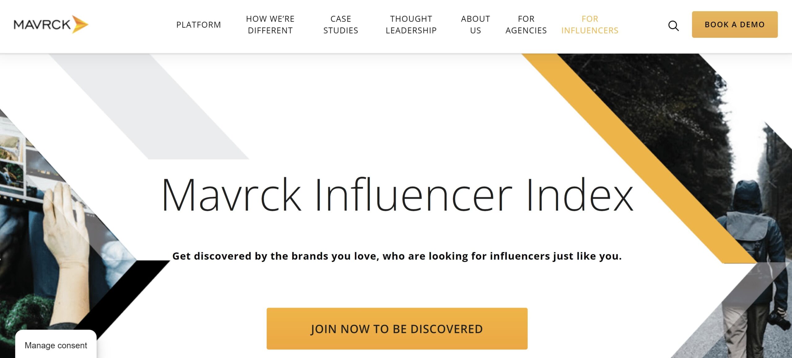 Screenshot of Mavrck's influencer index; influencer marketing channels 