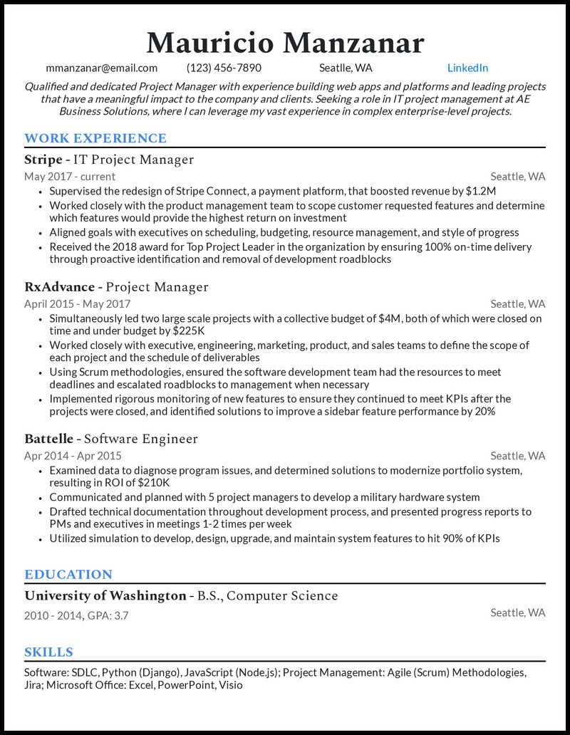 Technical Project Manager Resume example