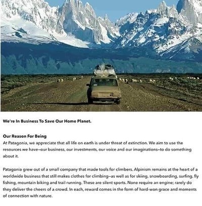 Business plan example: Patagonia mission statement