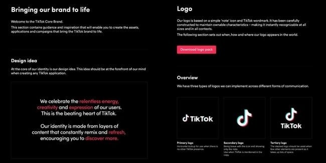tiktok design idea and logo in its brand guidelines