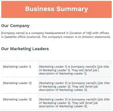 marketing plan business summary template